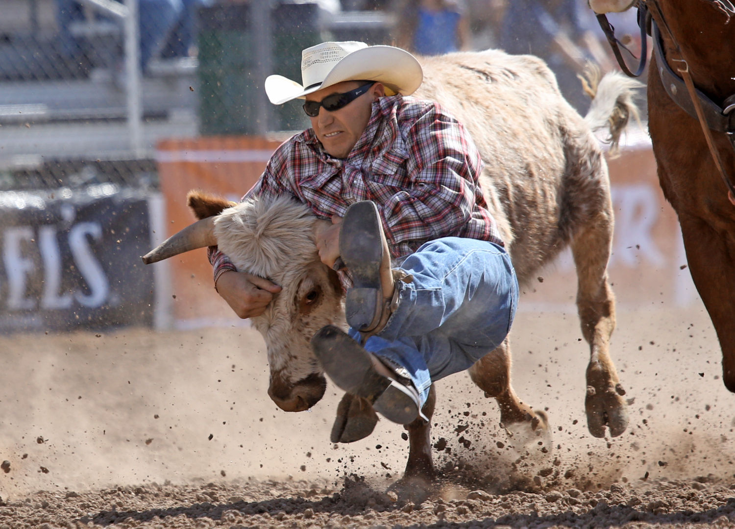 La Fiesta de los Vaqueros